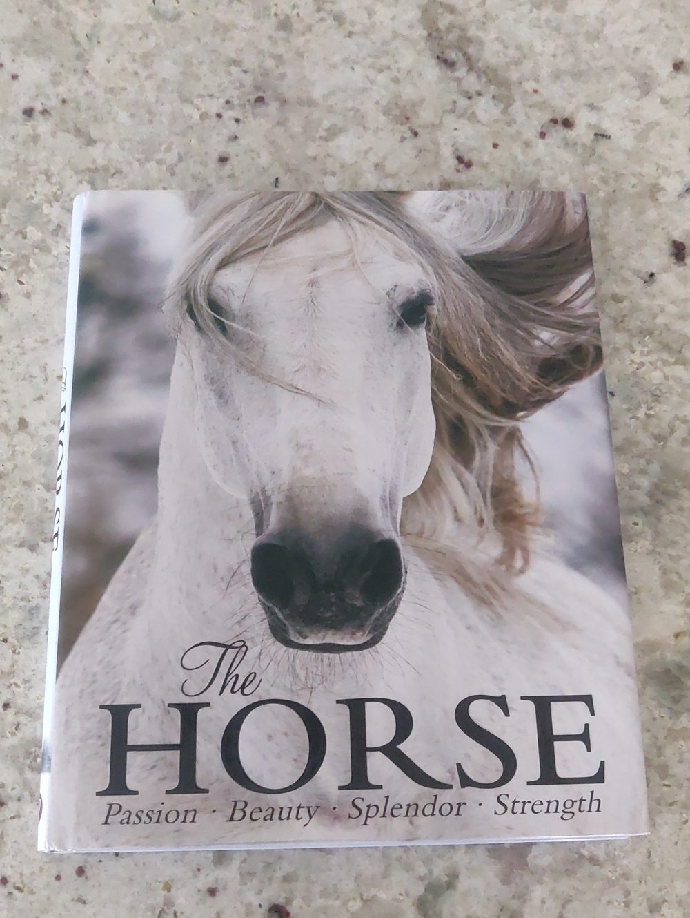 The Horse: Passion, Beauty, Splendor, Strength by Elaine Walker Y2K Equestrian